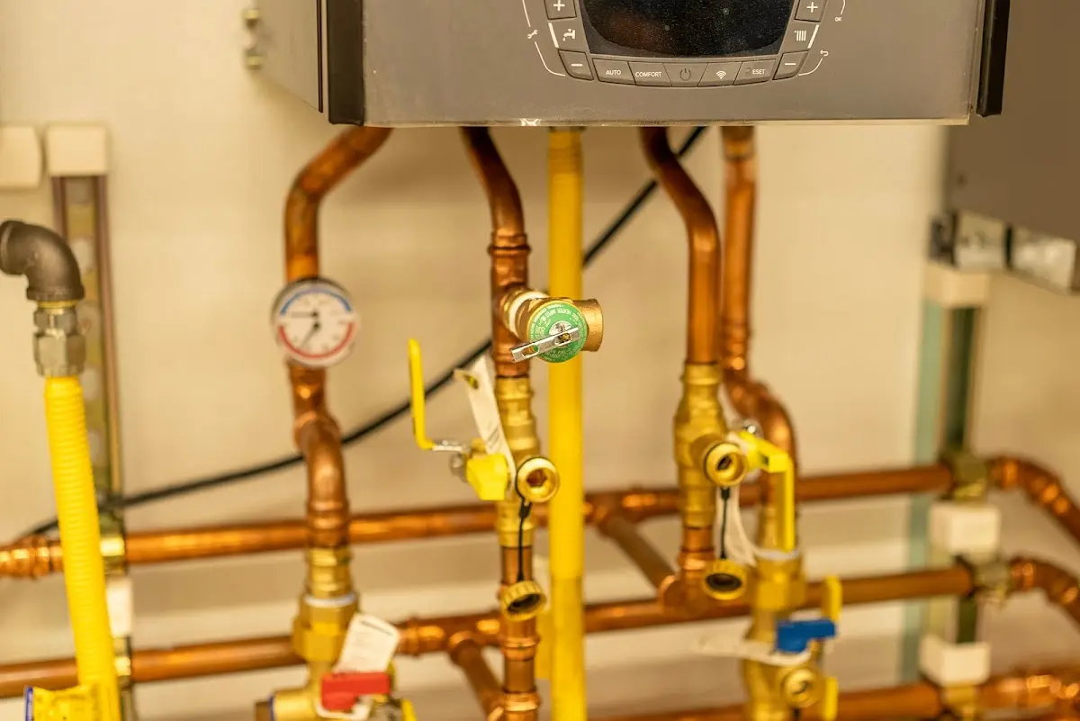 Licensed technician providing Emergency Plumbing for a homeowner in Mascot